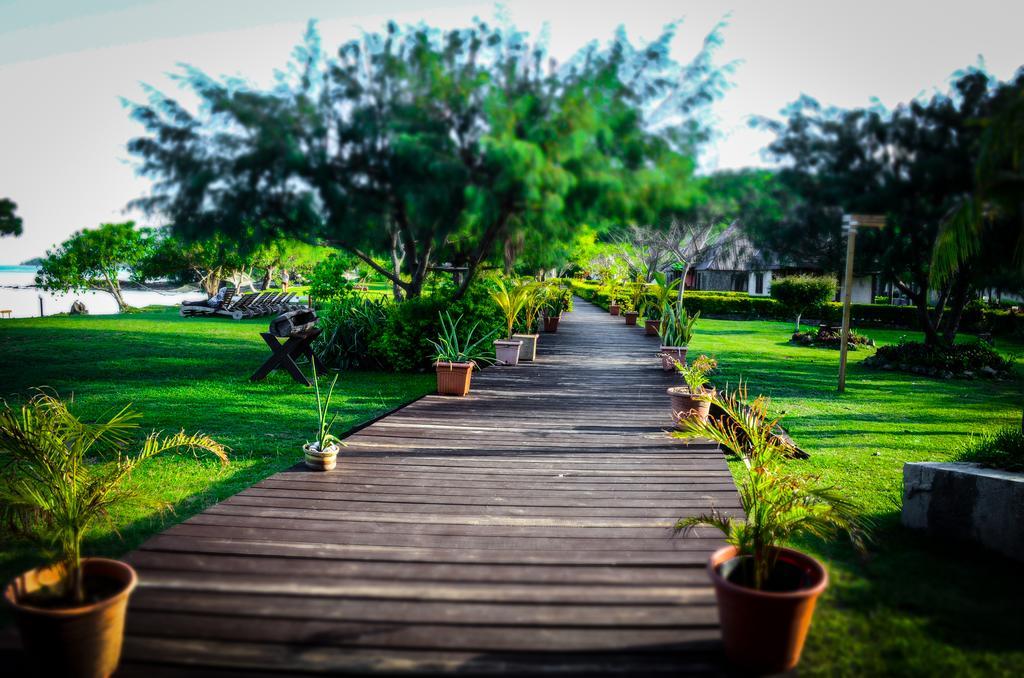 Coralview Island Resort Tavewa Island Eksteriør billede