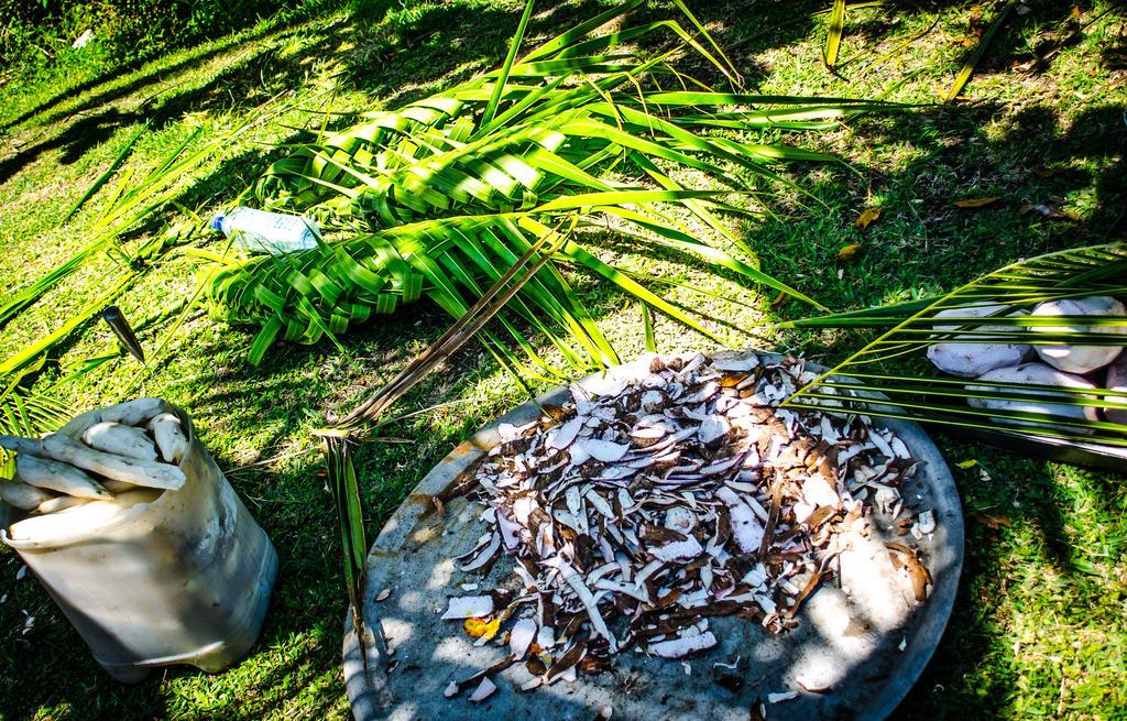 Coralview Island Resort Tavewa Island Eksteriør billede