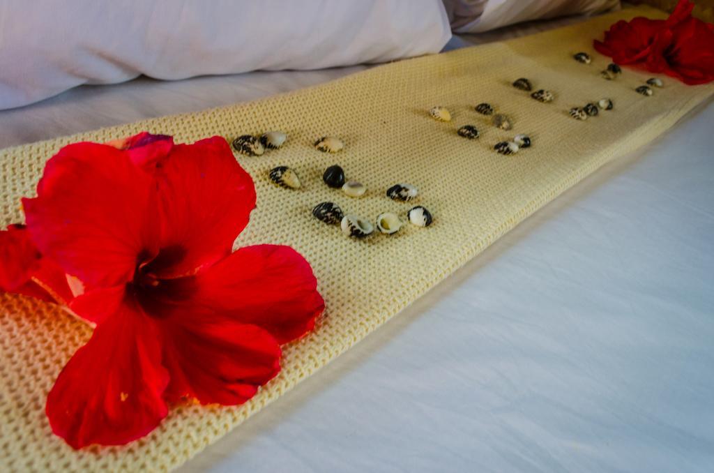 Coralview Island Resort Tavewa Island Eksteriør billede
