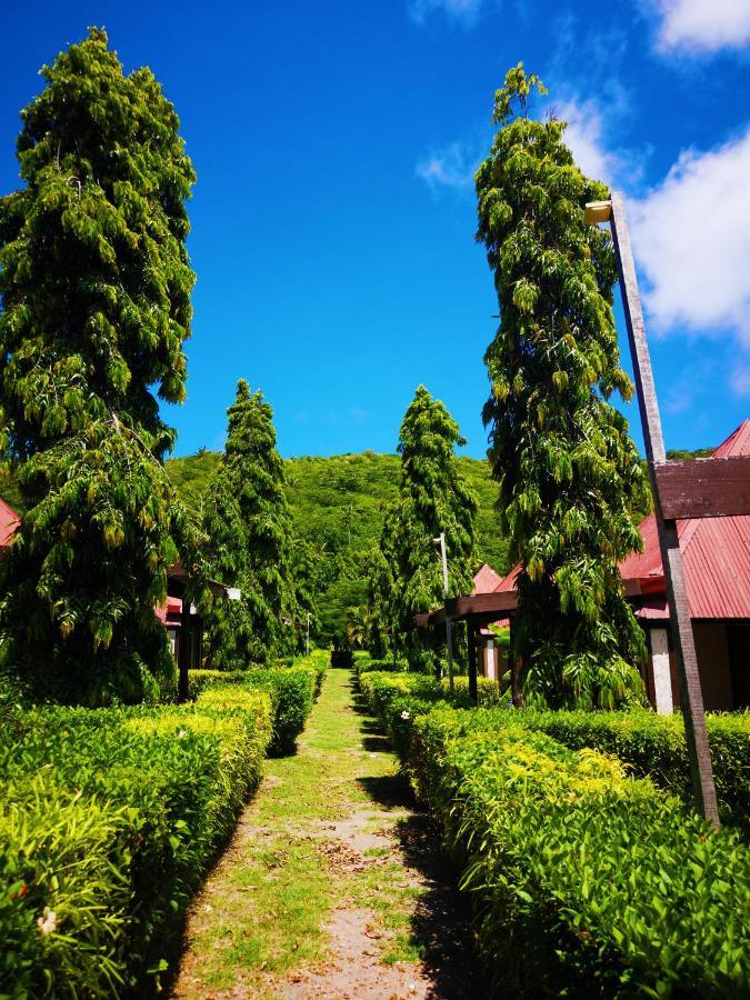 Coralview Island Resort Tavewa Island Eksteriør billede